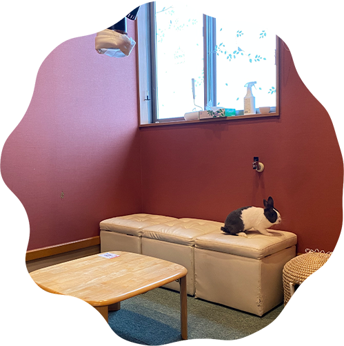 SOoあぐりーず愛し野うさぎカフェ