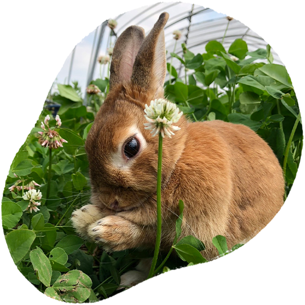 オーナーご挨拶